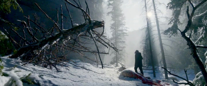 Illustration for article titled The Revenant reimagines the look of the Western by squeezing the wild frontier